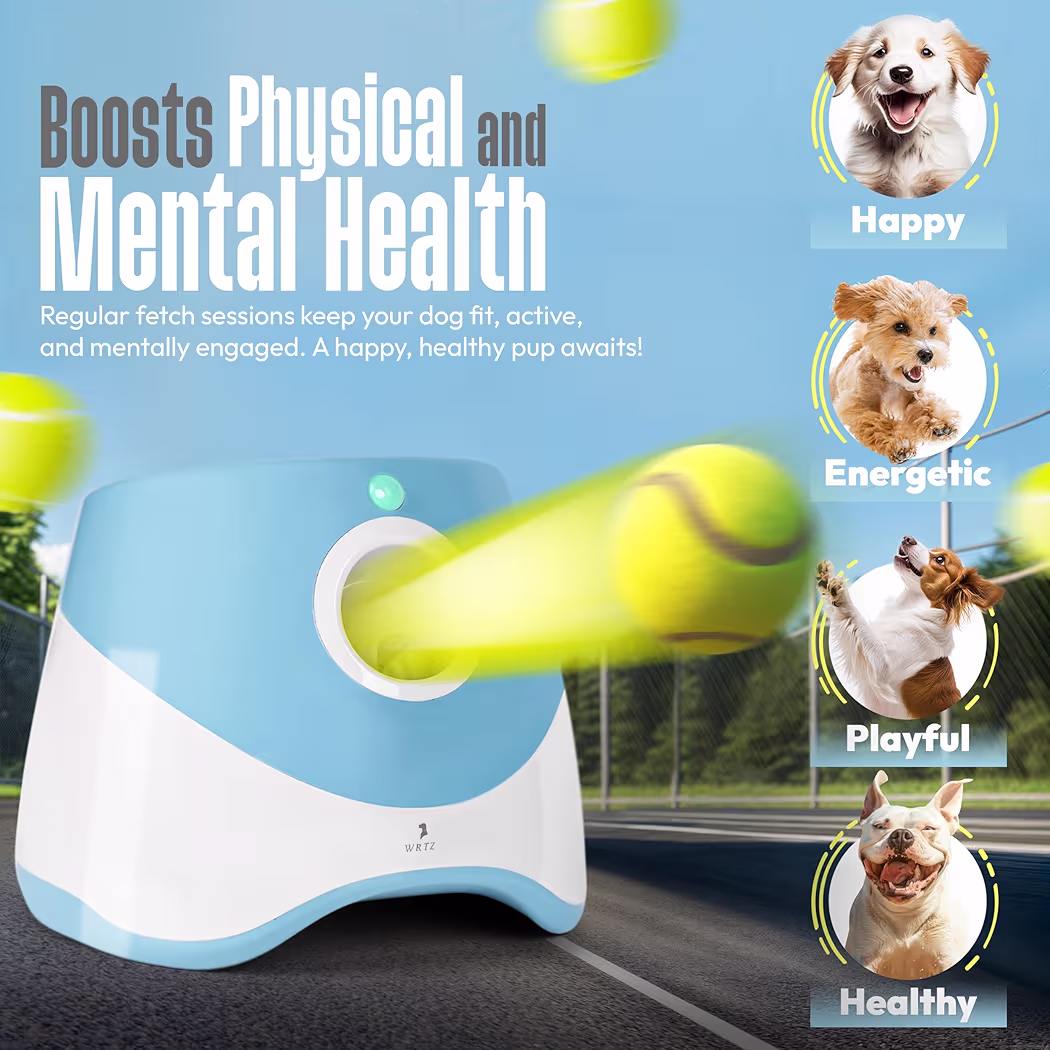 Automatic Dog Ball Launcher for Small Dogs